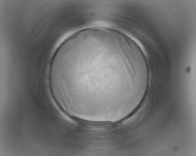 X0000116791477201001291508