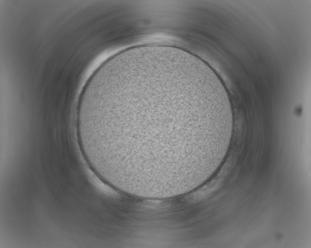 X0000116791478201001291508
