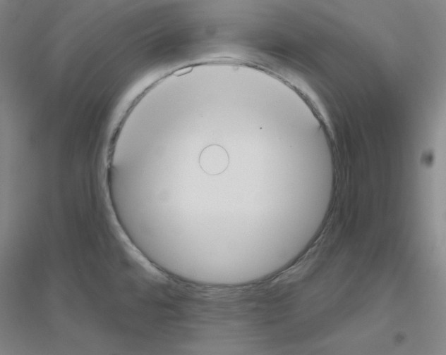 X0000116791480201001291508