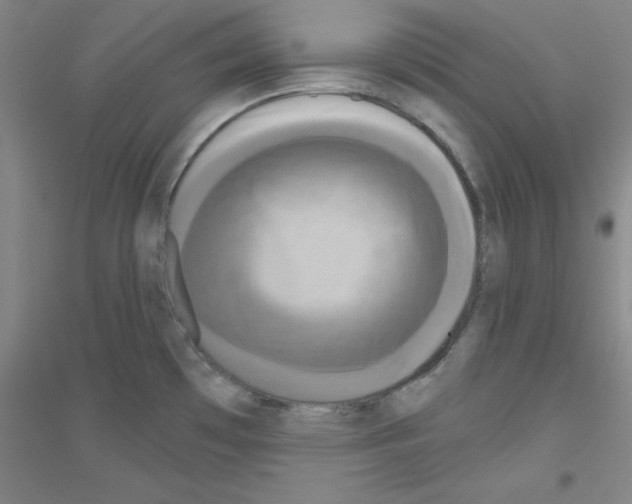 X0000116791481201001291508