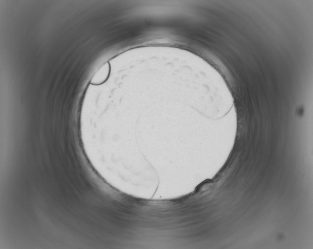 X0000116791483201001291508