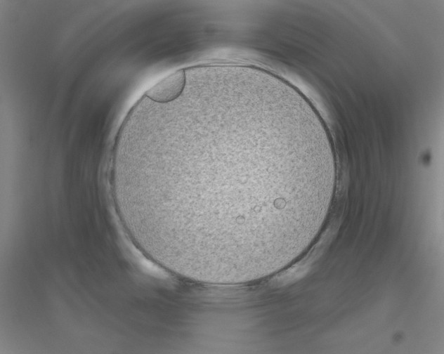 X0000116791486201001291508