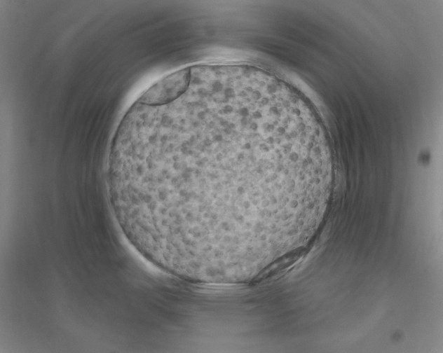 X0000116791487201001291508