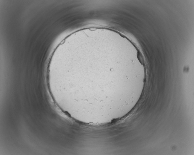 X0000116791488201001291508