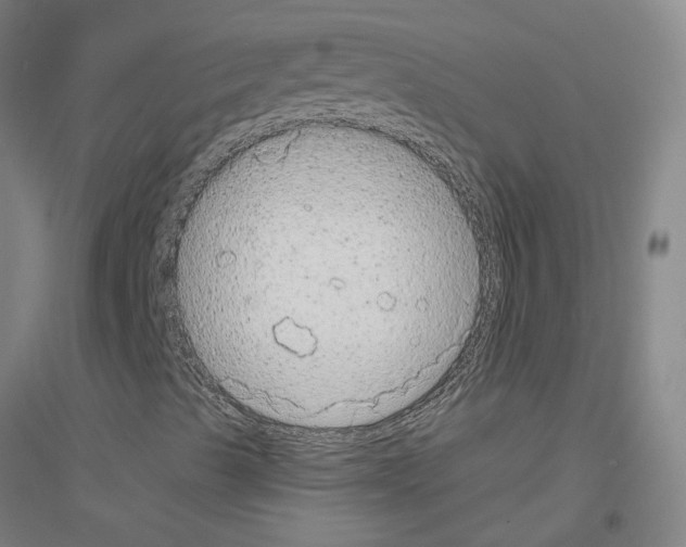 X0000116791489201001291507