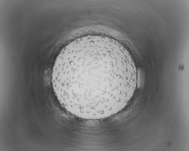 X0000116791491201001291507