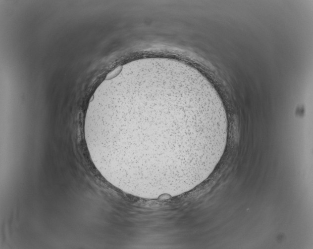 X0000116791493201001291507
