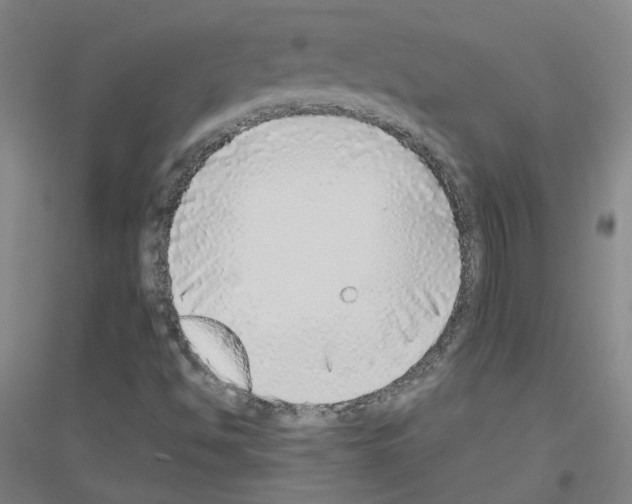 X0000116791494201001291507