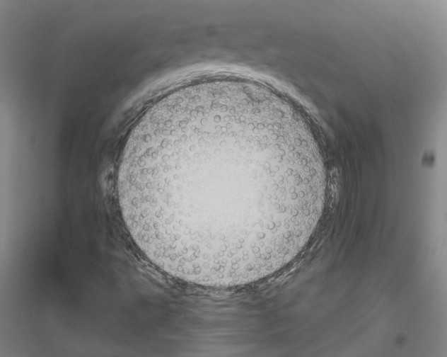 X0000116791495201001291508