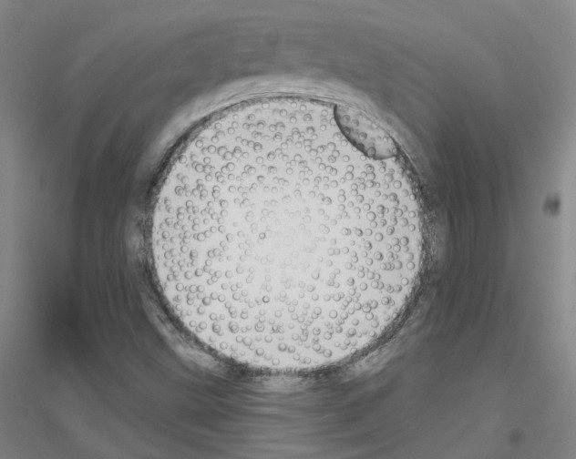 X0000116791499201001291508