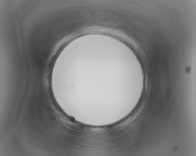 X0000116791501201001291508