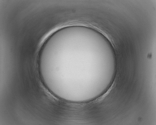 X0000116791502201001291508