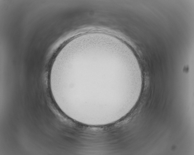 X0000116791503201001291508