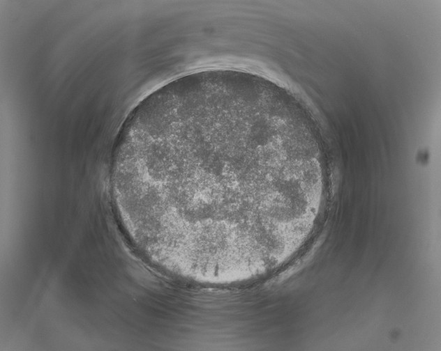 X0000116791505201001291508