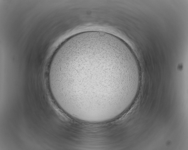 X0000116791507201001291508