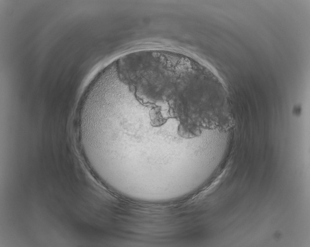 X0000116791509201001291508