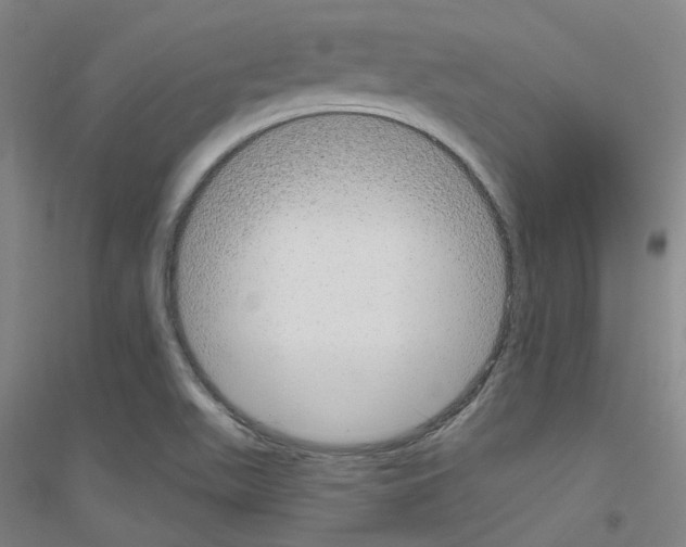 X0000116791511201001291508