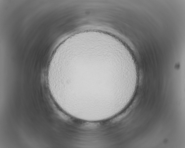 X0000116791513201001291508