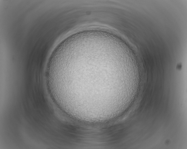 X0000116791514201001291508
