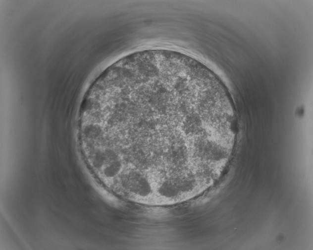 X0000116791525201001291508