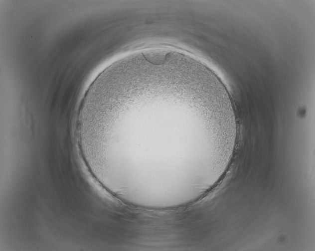 X0000116791526201001291508
