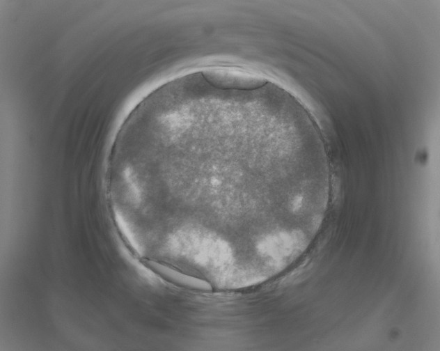 X0000116791527201001291508