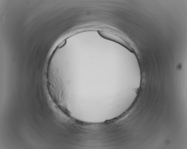 X0000116791530201001291508