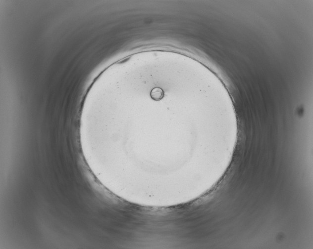 X0000116791534201001291508