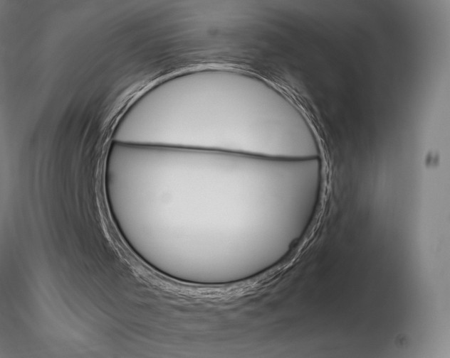 X0000116800001200912181129