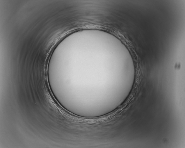 X0000116800002200912181129