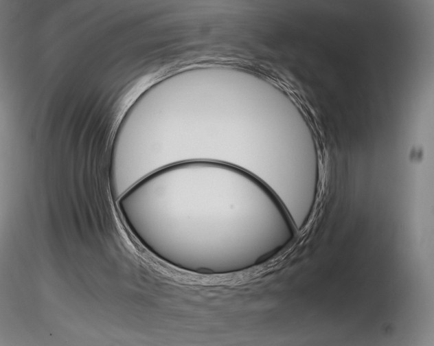 X0000116800003200912181129