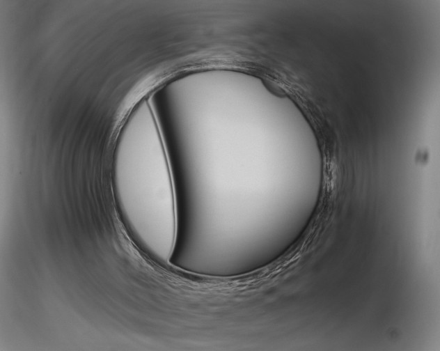 X0000116800004200912181129