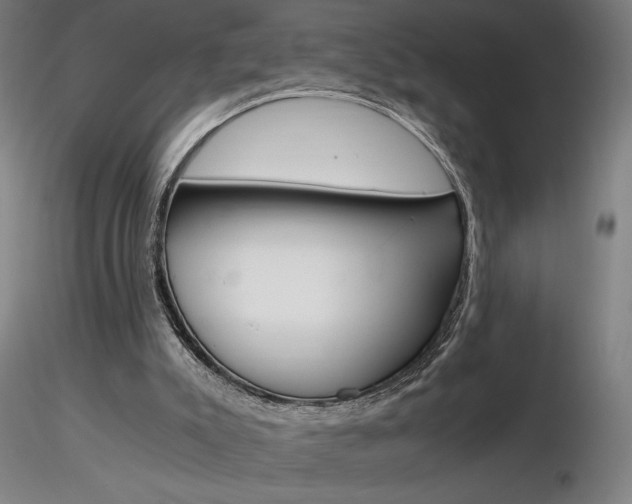 X0000116800007200912181128