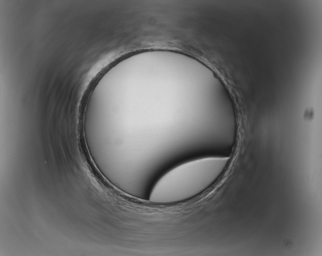 X0000116800008200912181128