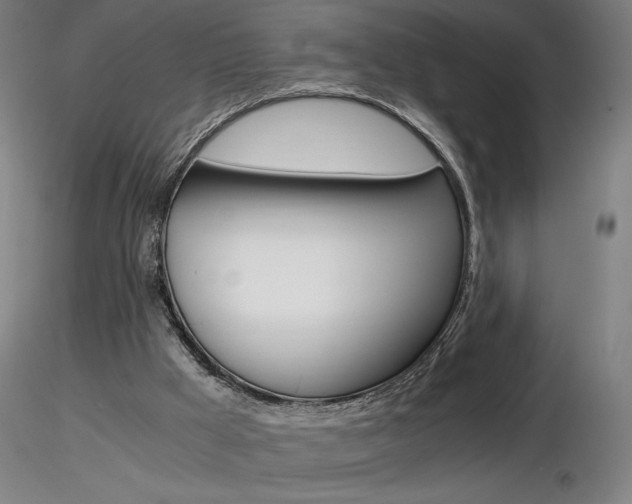 X0000116800009200912181128