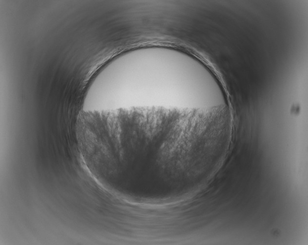 X0000116800010200912181128