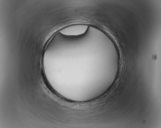 X0000116800011200912181128