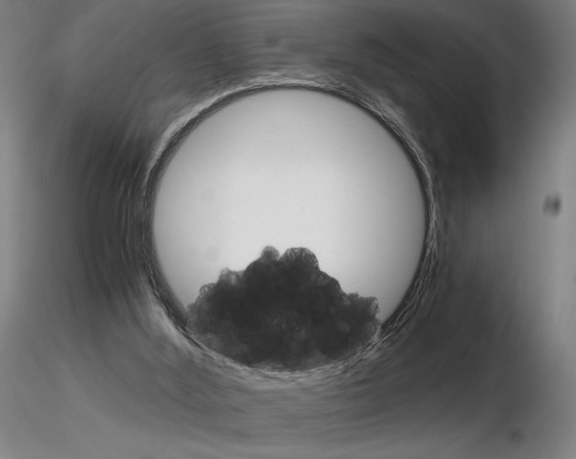 X0000116800012200912181128