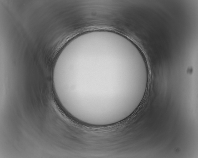 X0000116800013200912181128