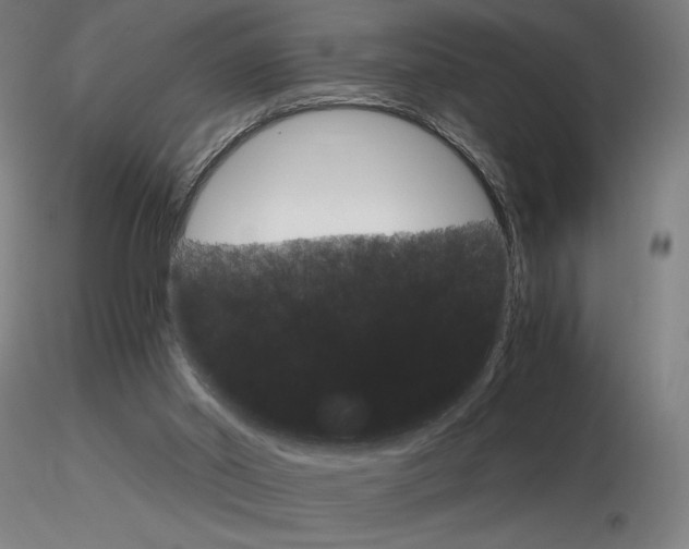 X0000116800014200912181128