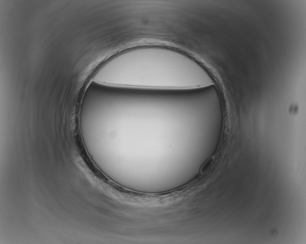 X0000116800015200912181128