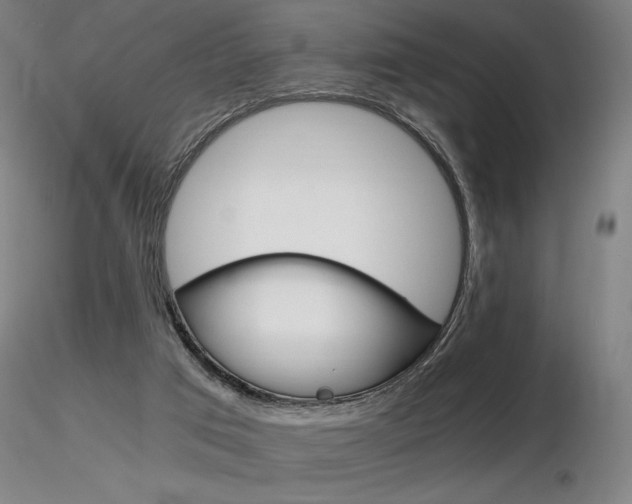 X0000116800017200912181128
