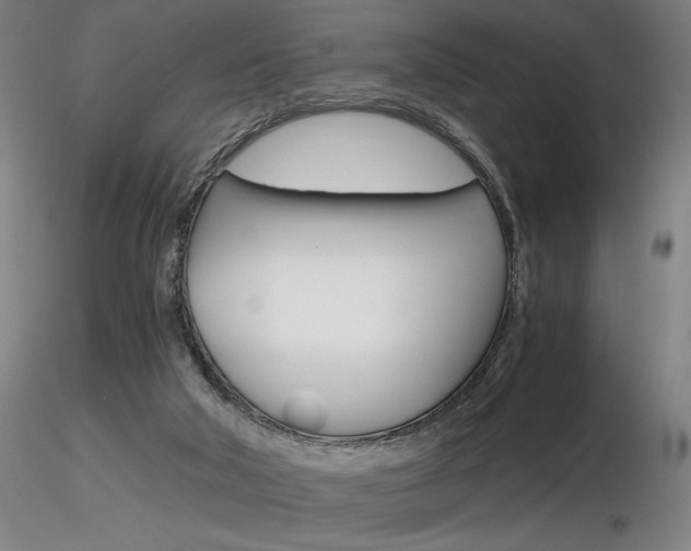 X0000116800018200912181128