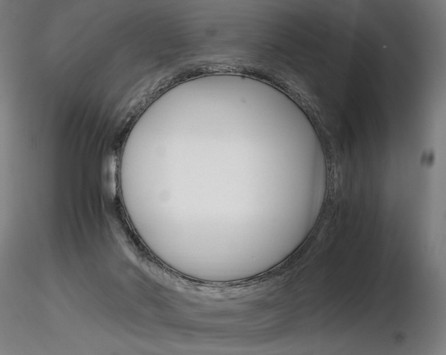 X0000116800022200912181128