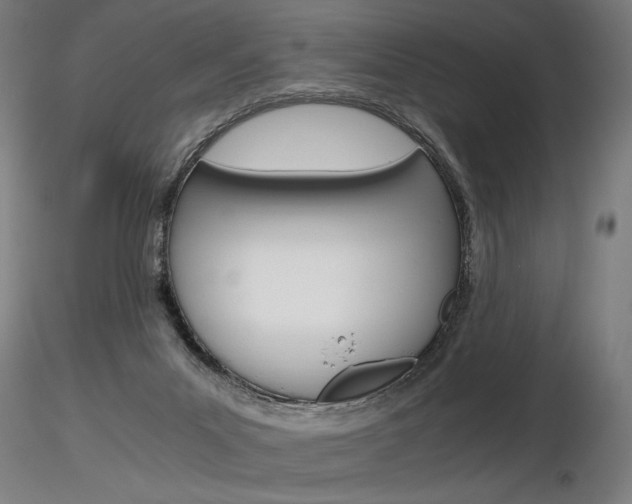 X0000116800023200912181128