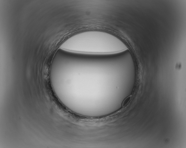 X0000116800025200912181128