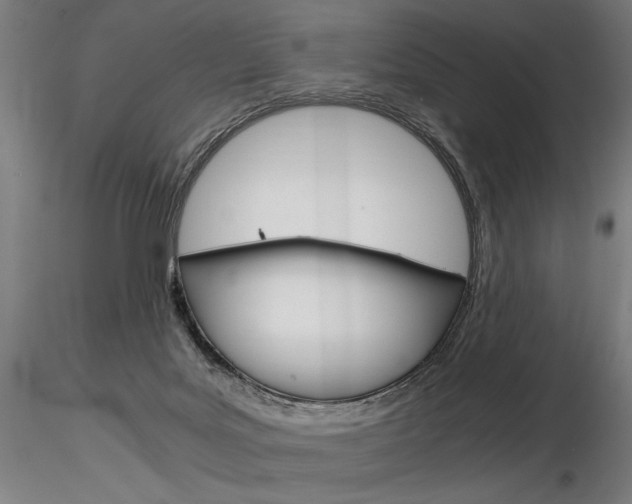 X0000116800027200912181128