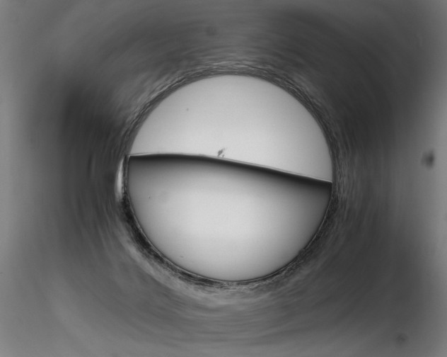 X0000116800028200912181128