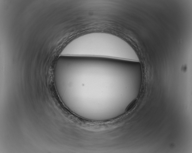 X0000116800029200912181128
