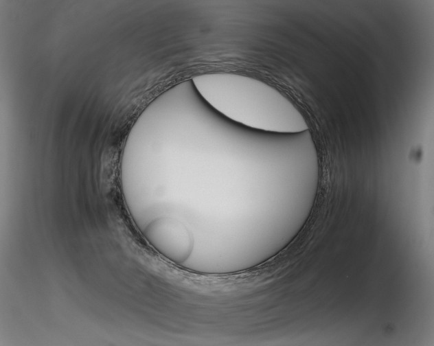 X0000116800030200912181128